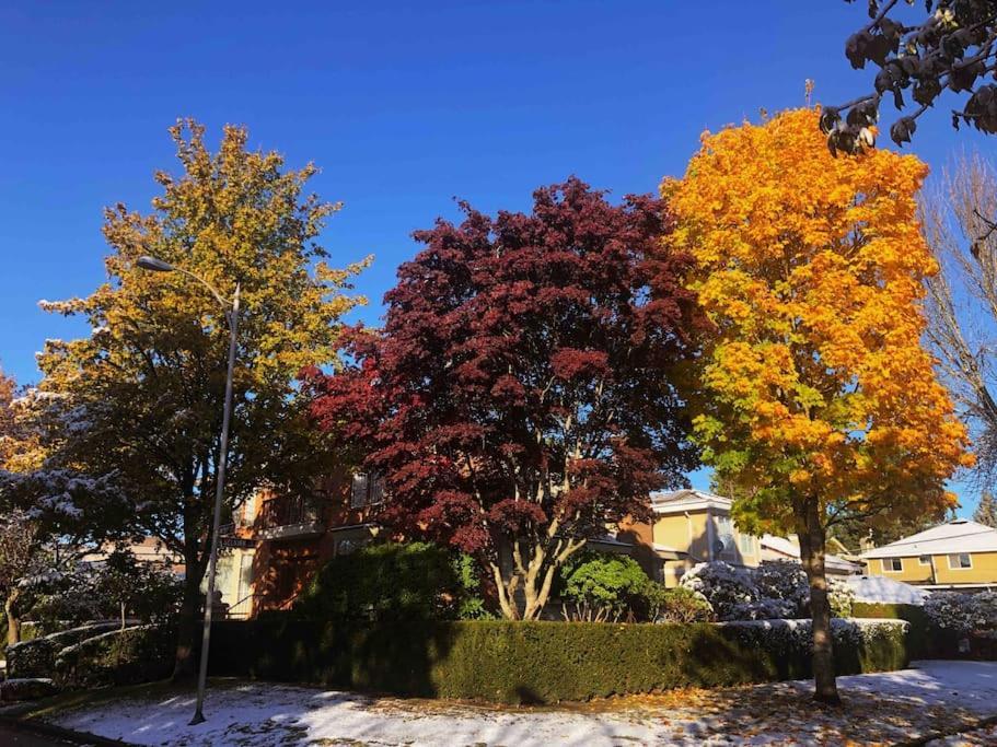 Super Cosy 8Bed & 6Bath In Vancouver Heart Near To Airport And Downtown 외부 사진